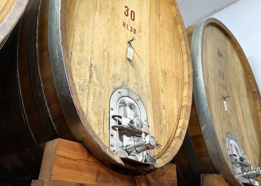 San Gimignano: Vineyard and Cellar Tour with Wine Tasting - Price and value: is $53 fair for wine + food in Tuscany?