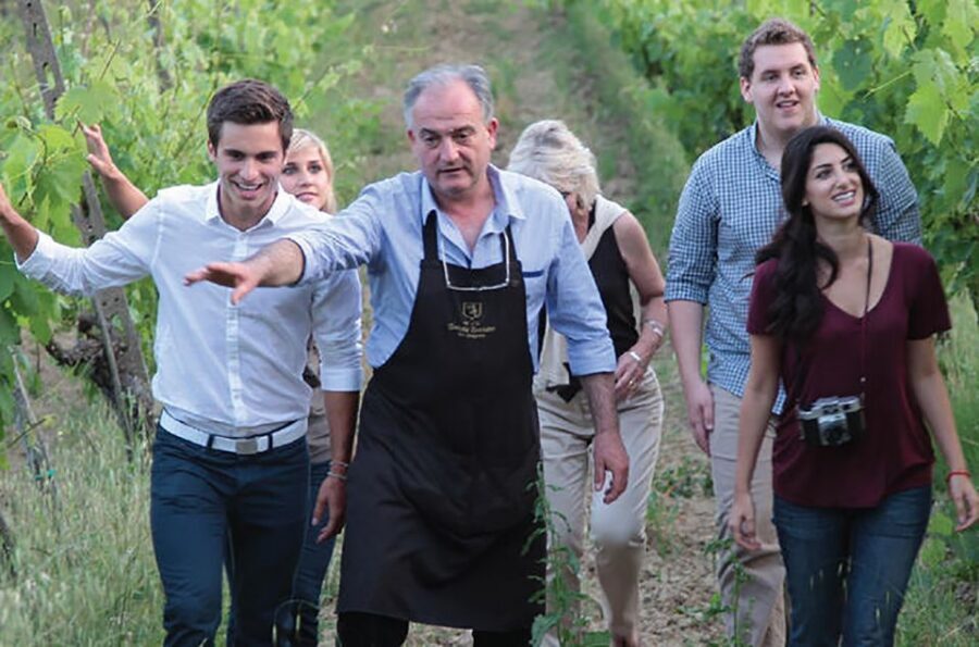 San Gimignano: Vineyard Walk with Wine Tasting in winery - What the 1.5-Hour Vineyard Walk Actually Covers