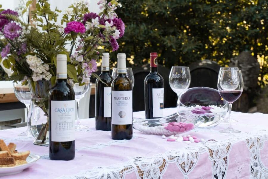 San Gimignano: Wine and Food Tasting in a Family Winery - Vineyards and the historical cellar: more than a photo stop
