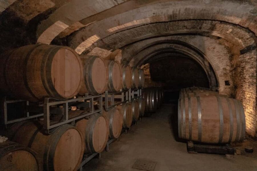 San Gimignano: Wine and Food Tasting in a Family Winery - Vegetable garden, orchard, and olive grove: the food has a source