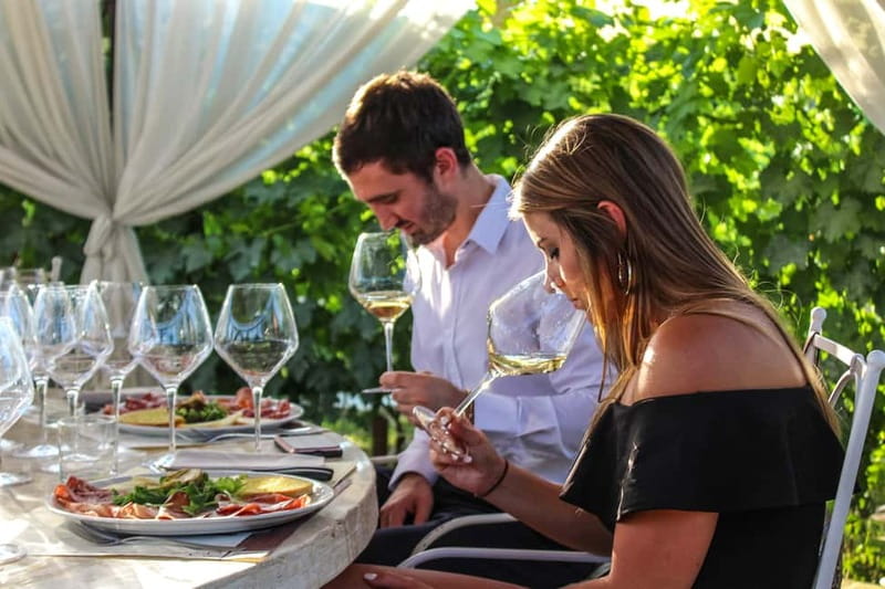 San Gimignano: Wine and Oil Tasting with Tuscan Appetizers - Key Highlights You’ll Actually Care About
