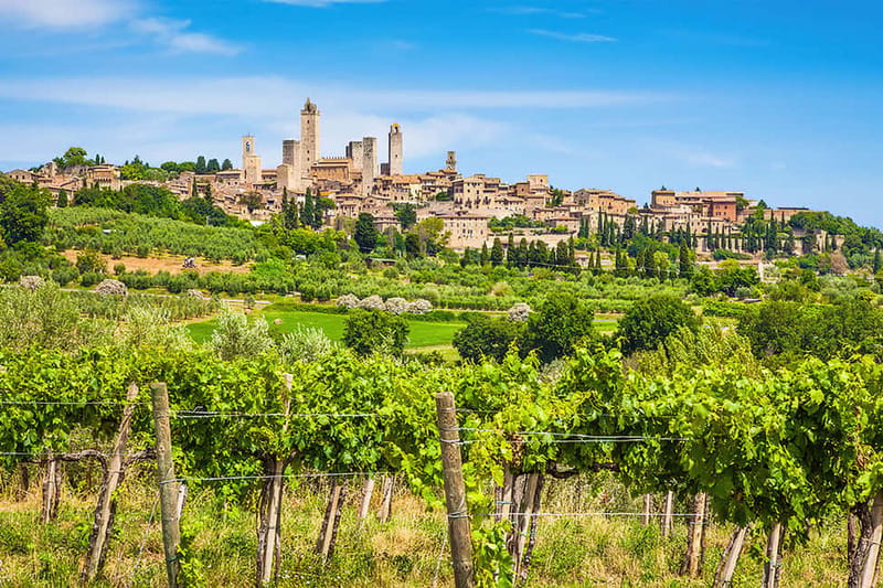 San Gimignano: Wine and Oil Tasting with Tuscan Appetizers - Bottle Purchases and Value Reality: Great Product, Watch the Markups