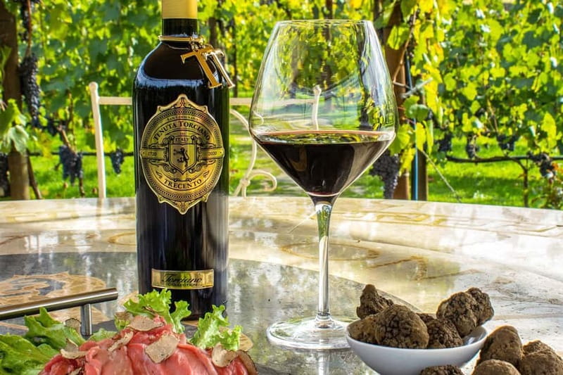 San Gimignano: Wine and Oil Tasting with Tuscan Appetizers - The 1-Hour Experience at the Bar: Simple Timing, Real Focus