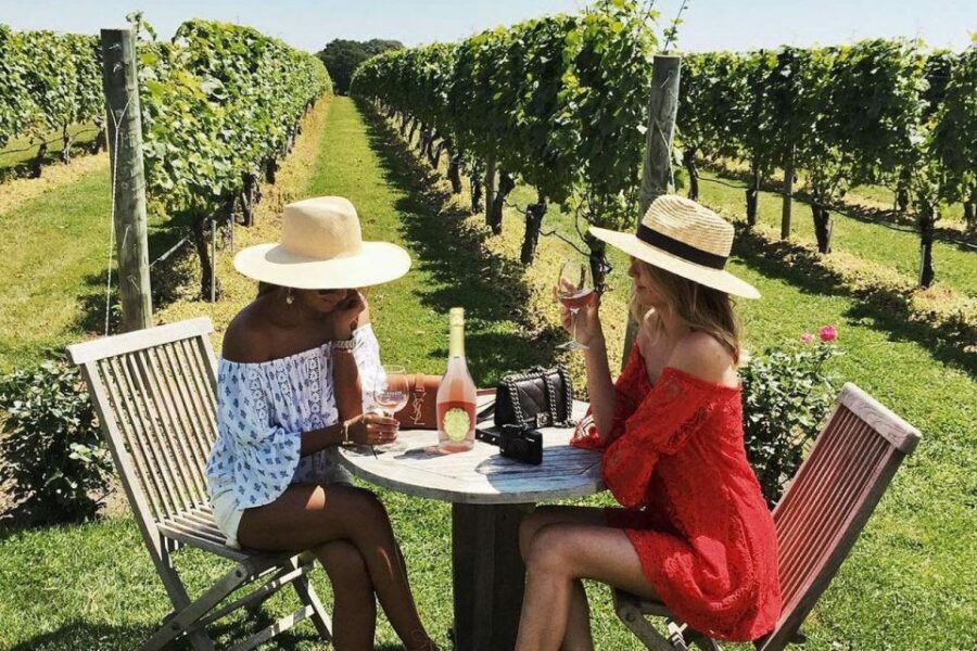 San Gimignano Wine Tasting and Class in Winery for Beginners - Appetizers and “what to eat with wine” without the fuss