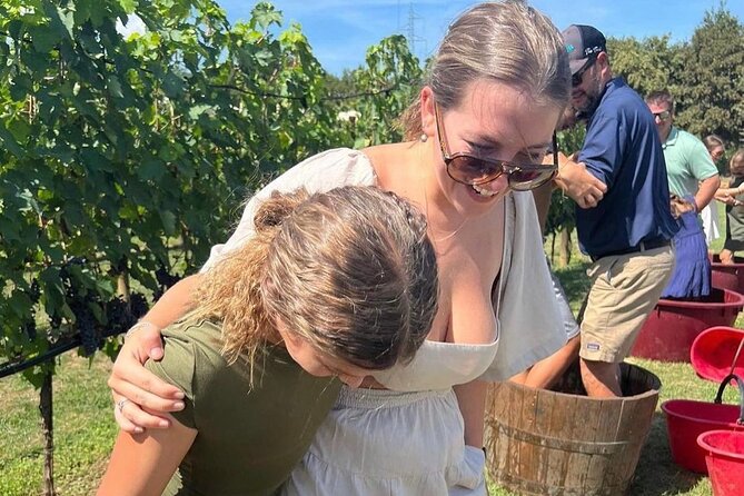 San Gimignano Wine Tour and tuscan appetizer for small group - Key Highlights at a Glance