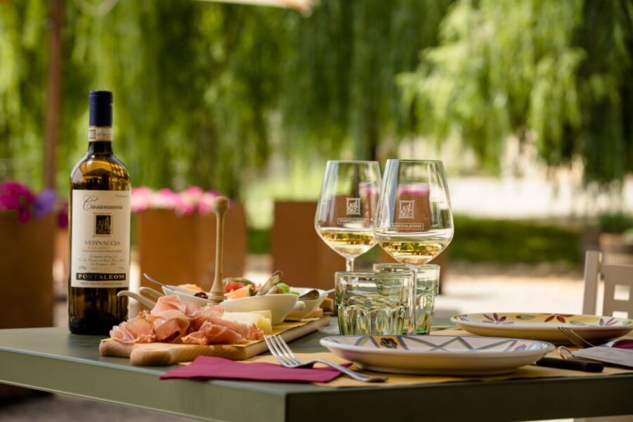 San Gimignano: Winery Tour with Wine Tasting and Lunch - The vineyard walk: short, scenic, and story-driven