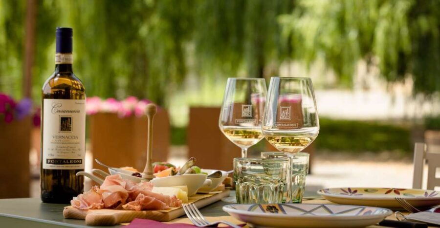 San Gimignano: Winery Tour with Wine Tasting and Lunch - Entering the winery cellar: where the wine really starts