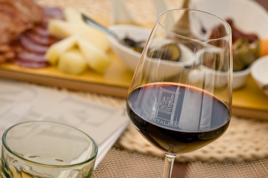 San Gimignano: Winery Visit with Picnic in Olive Grove - Two hours in the Tuscan countryside: how this experience really works