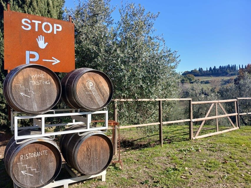 San Gimignano: Winery Visit with Picnic in Olive Grove - Vegetarian option: how to plan your meal if you skip meat