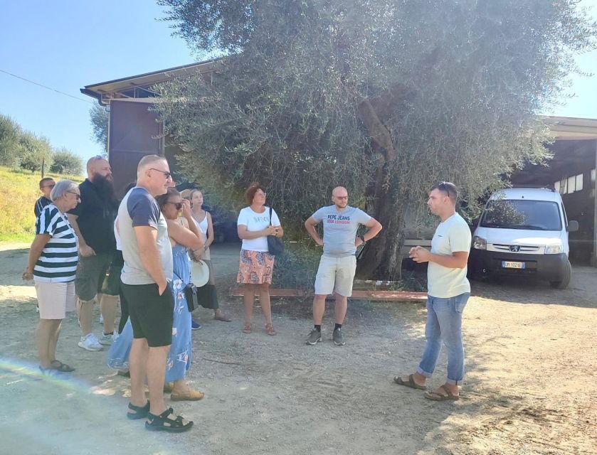 Seggiano: Typical Tuscan Farm Tour with Olive Oil Tasting - The tasting: how you learn to compare, not just taste