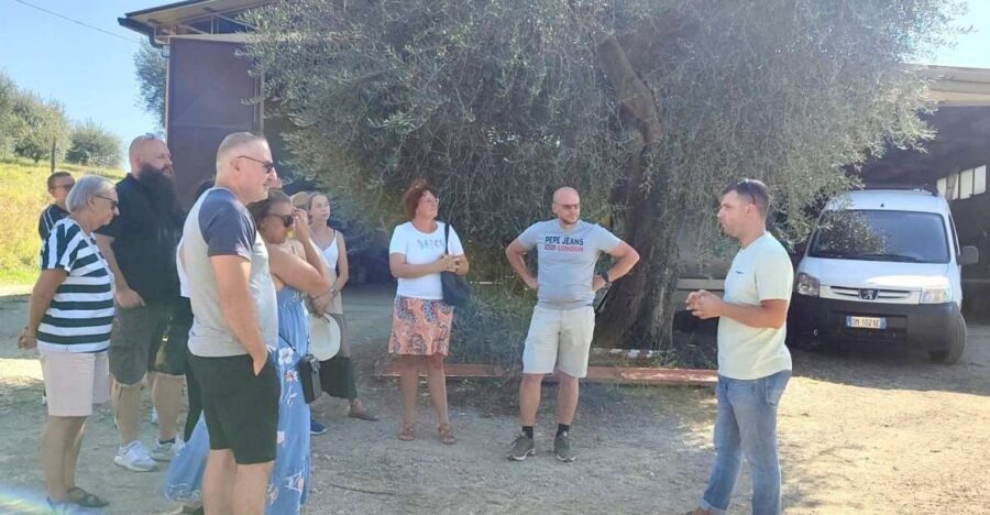 Seggiano: Typical Tuscan Farm Tour with Olive Oil Tasting - Walking the farm: groves, equipment, and the cellar
