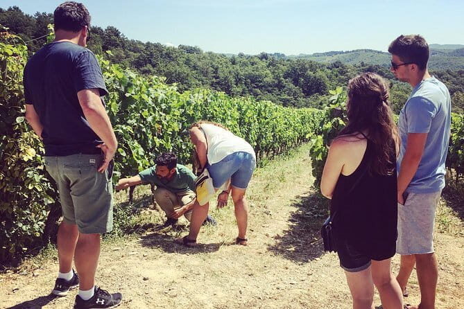 Semi-Private Chianti Wine Tour with Dinner in Tuscany Vineyard - Small-group comfort and the guide experience (including Tiziana’s praised style)