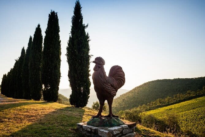 Semi-Private Chianti Wine Tour with Dinner in Tuscany Vineyard - Price and value: what $227.02 buys you in the Chianti countryside