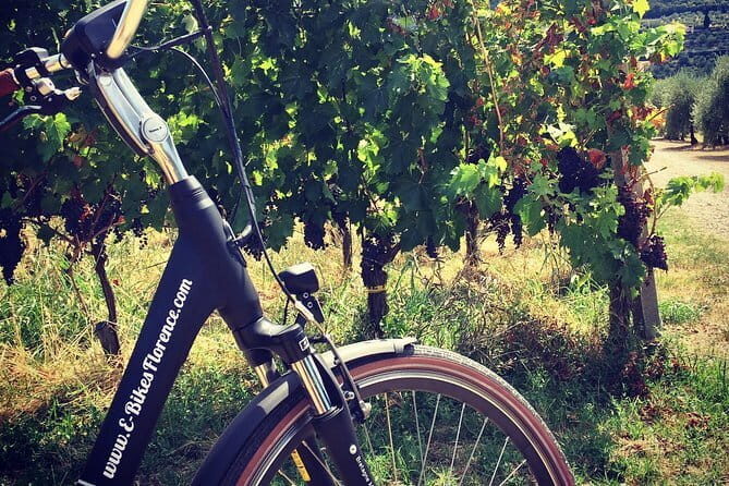 Semi-Private Chianti Wine Tour with Dinner in Tuscany Vineyard - Timing, what to pack, and how to make the most of the evening