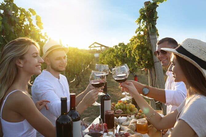 Semi-Private Chianti Wine Tour with Dinner in Tuscany Vineyard - Who this Chianti tour fits best (and who may want a different option)