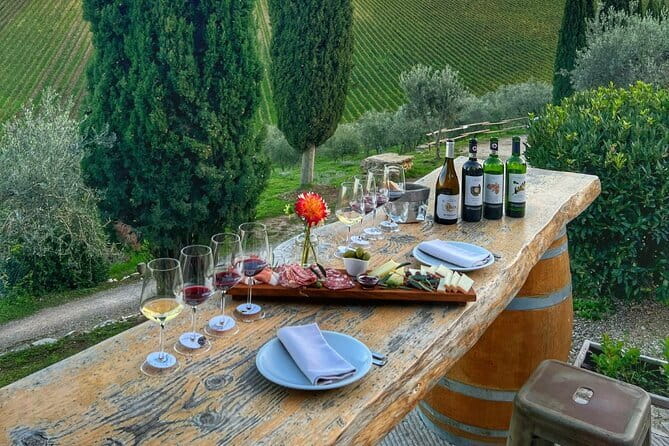 Semi Private Deep Wine Chianti and San Gimignano from Florence - 8:00 Pickup and Piazzale Michelangelo’s Fast Florence Fix