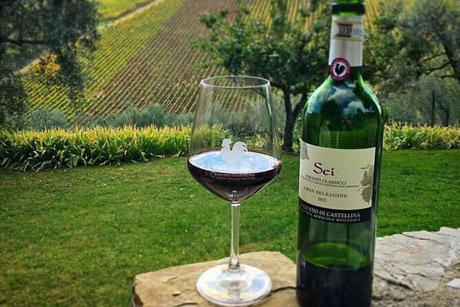 Siena and Chianti Wineries Excursion by Private Luxury Van from Florence - Key points at a glance