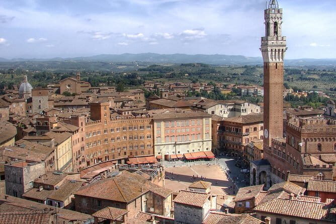 Siena and Chianti Wineries Excursion by Private Luxury Van from Florence - The route through Chianti hills: farms, forest views, and a flexible plan