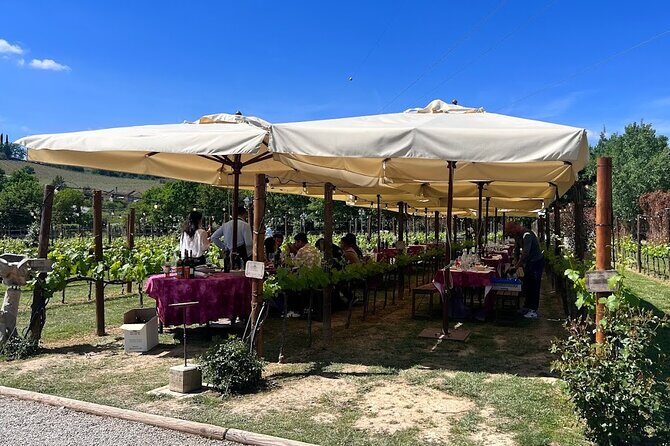 Siena and San Gimignano from Rome: Private Wine Tour in Tuscany - What’s Included vs Not: Avoid the Last-Minute Surprise