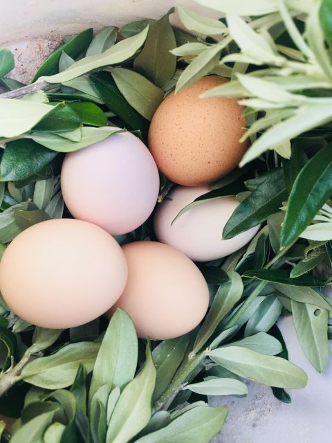 Siena countryside: cooking class in a real Tuscan farmhouse - What the $141.61 price covers (and why it can be good value)