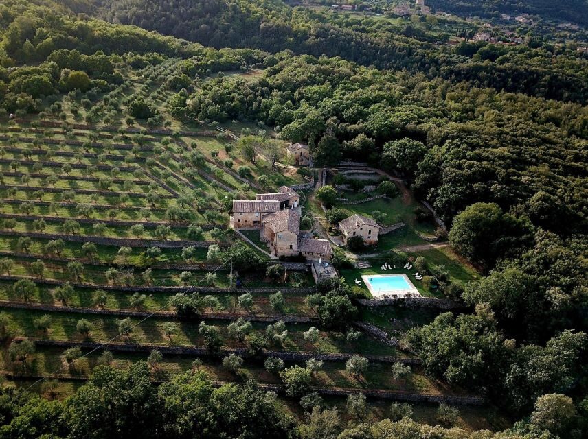 Siena countryside: cooking class in a real Tuscan farmhouse - The host factor: when it turns into a private-feeling lesson