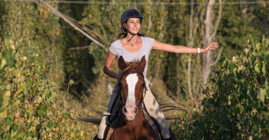 Siena: Horseback Adventure in the Tuscan Countryside - Learning the Countryside: Flora, Fauna, and Siena’s Local Story