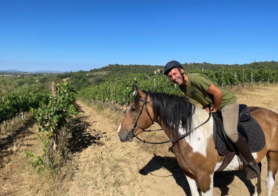 Siena: Horseback Adventure in the Tuscan Countryside - The Horses and Safety Setup: Beginner Confidence Without the Guesswork
