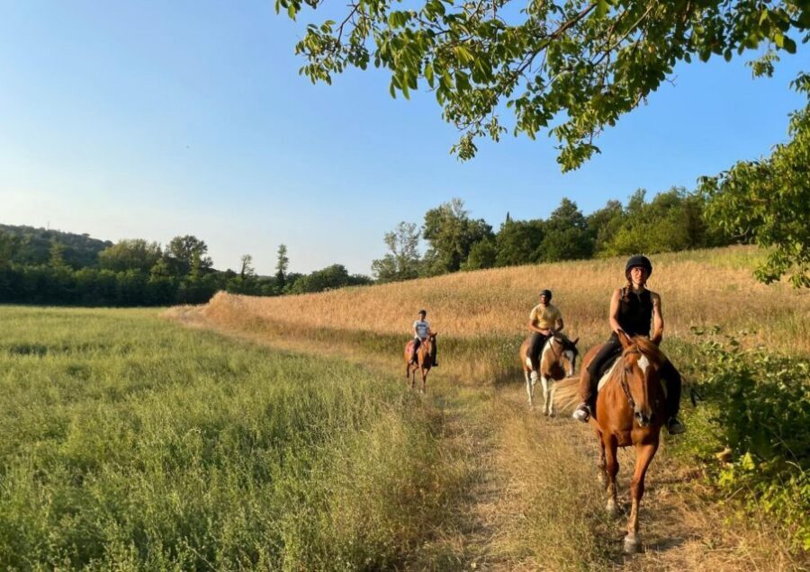 Siena: Horseback Adventure in the Tuscan Countryside - Optional Farm Stops and the Home-Cooked Meal Moment