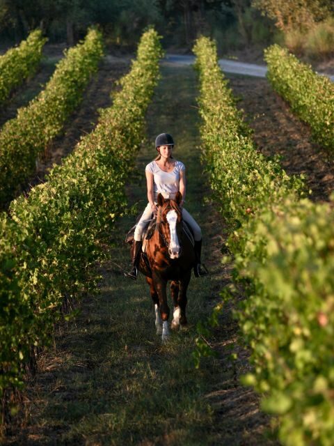 Siena: Horseback Adventure in the Tuscan Countryside - Who This Siena Horseback Adventure Suits Best