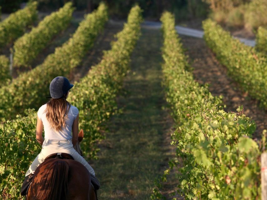 Siena: Horseback Adventure in the Tuscan Countryside - The 1–3 Hour Ride: What You’ll Do Out in the Province of Siena