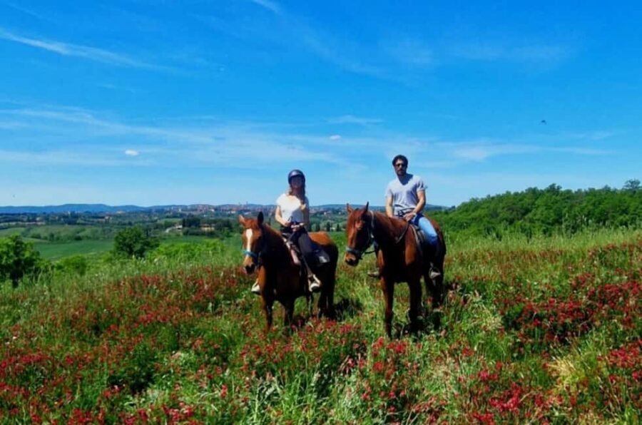 Siena: Horseback Riding Tour in the Tuscany Countryside - Beginners welcome: training, calm horses, and what that feels like in the saddle