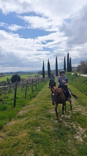 Siena: Horseback Riding Tour in the Tuscany Countryside - Who this Tuscany horseback tour is best for (and who should skip it)