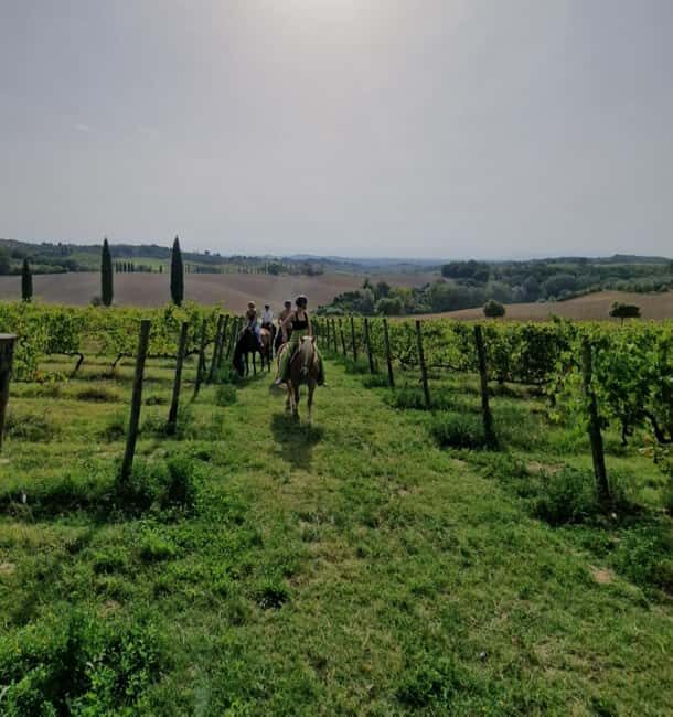 Siena: Horseback Riding Tour in the Tuscany Countryside - The ride: from vineyards to rivers to cypress roads in about 1.5 hours