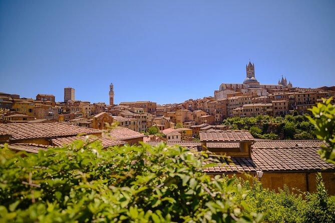 Siena, San Gimignano and Chianti Wines Day Tour from Florence - The Coach From Florence: A Smooth Start With Real Time-Saving