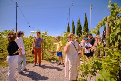 Siena, San Gimignano and Chianti Wines Day Tour from Florence - Siena’s Piazza del Campo and Duomo Views: Great Highlights, Optional Costs Inside