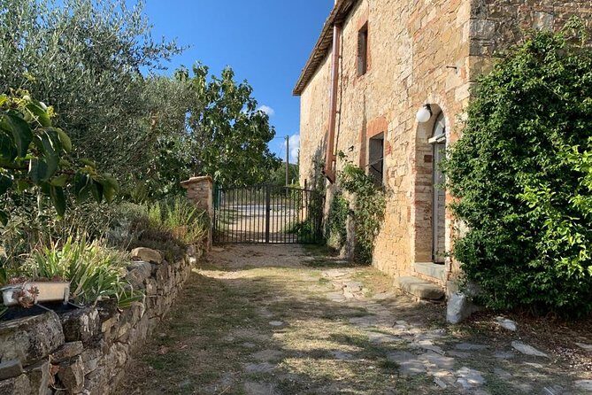 Siena: Small Group Cooking Class in Chianti Farmhouse - Chef Simone and the multilingual teaching vibe