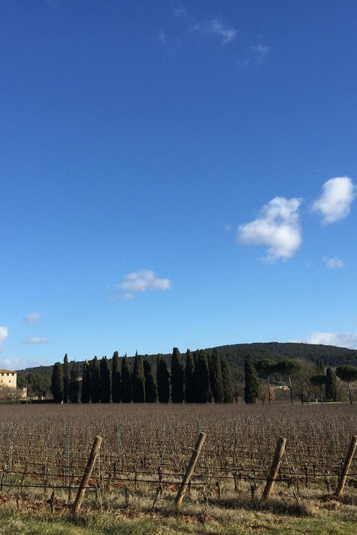 Siena: Tour and Wine Tasting in a Tuscan Private Castle - Key highlights to know before you go