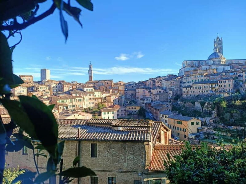 Siena walking tour with lunch & Chianti wine - Price and value: is $76.47 worth it?