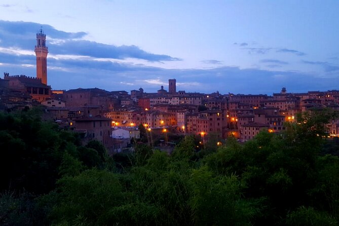 Siena walking tour with lunch & Chianti wine - How long is too long: walking pace and what to wear