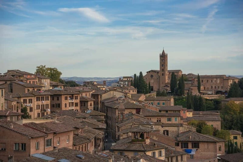 Siena’s Ultimate Food Tour: Full Tuscan Meal with a Local - Piazza del Campo Dessert Break: Ricciarelli and Regional Sweetness