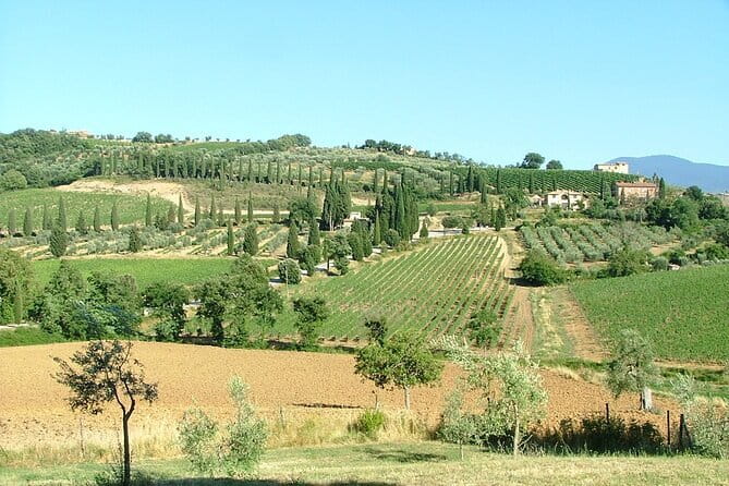 Sightseeing Tuscany by touring bike - 1 day rental - Getting Out of Florence: bikes, maps, and escaping the crowd vibe