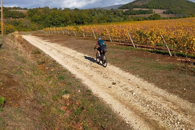 Sightseeing Tuscany by touring bike - 1 day rental - Price and value: what $53.01 covers (and why it’s not just a bike rental)