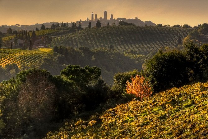 Small-Group Chianti and San Gimignano Sunset Trip from Siena - From Piazza San Domenico to the Chianti Roads: The Easy Part