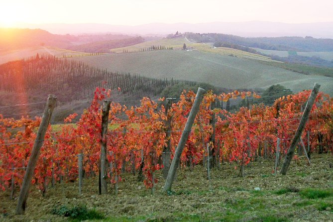 Small-Group Chianti and San Gimignano Sunset Trip from Siena - Pacing, Roads, and Who This Tour Suits Best