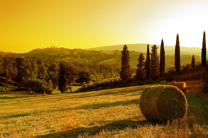 Small-Group Chianti and San Gimignano Sunset Trip from Siena - Winery Tour in Chianti: Black Rooster Tastings and Real Production Talk