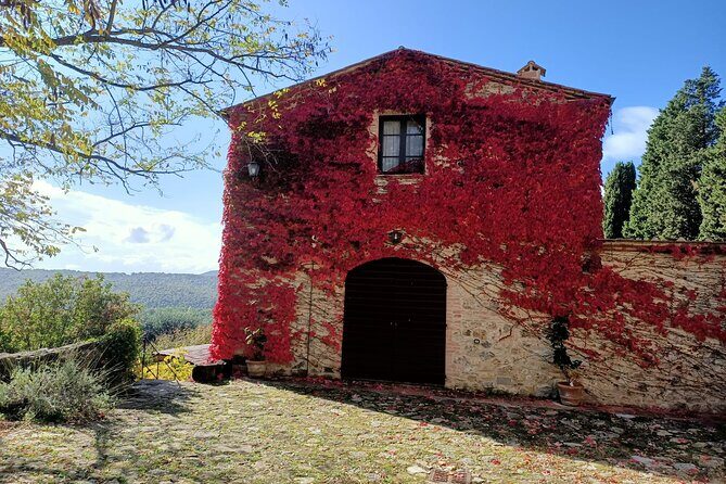 Small group Chianti Classico & Brunello wine region from Siena - Montalcino fortress and Val d’Orcia: the view is the payoff