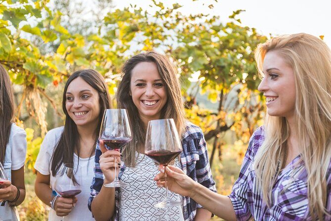 Small group Chianti Classico & Brunello wine region from Siena - Price and value: $198.95 for a small-group vineyard afternoon