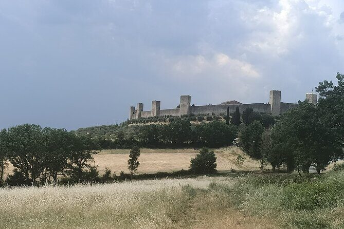 Small group Chianti Classico & Brunello wine region from Siena - Castellina in Chianti: organic winery, medieval cellars, and Tuscan pairing bites