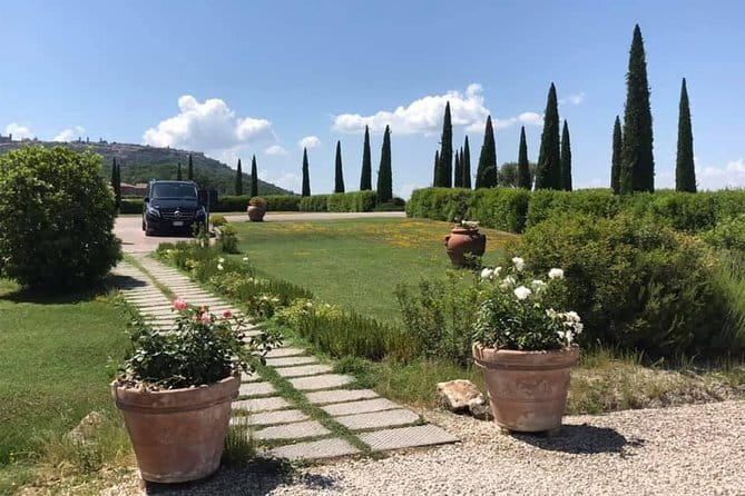 Small group Chianti-side wine tour with Mercedes V class Van - Key Highlights You’ll Actually Feel in Your Day