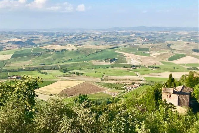 Small group Chianti-side wine tour with Mercedes V class Van - Florence Pickup and the Mercedes V-Class Comfort